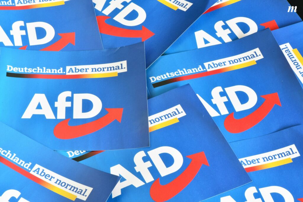 AfD-Höhenflug unter der Lupe - Concept m